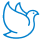Zhengsai Shield