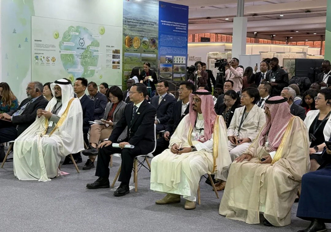 Zhengsai Desert Tree Planting Technology - Participate in the United Nations Convention to Combat Desertification Conference
