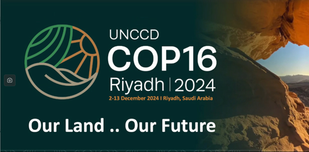 Zhengsai Desert Tree Planting Technology - Participate in the United Nations Convention to Combat Desertification Conference