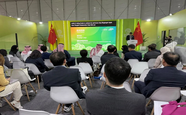 Zhengsai Desert Tree Planting Technology - Participate in the United Nations Convention to Combat Desertification Conference