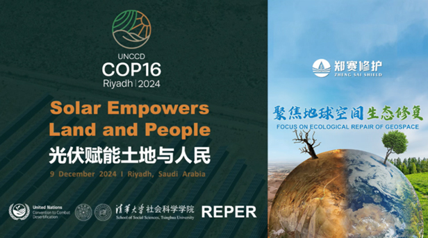 Zhengsai Desert Tree Planting Technology - Participate in the United Nations Convention to Combat Desertification Conference