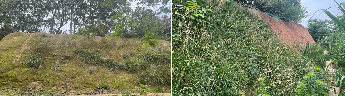 Erosion Slope Protection
