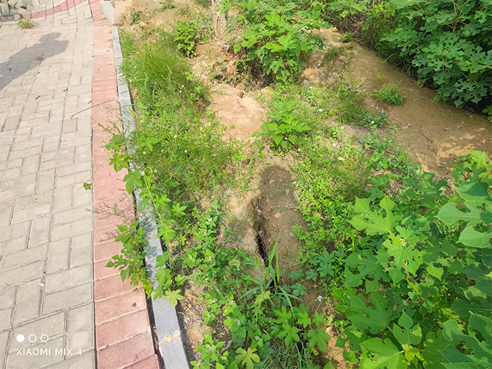 Cracks on the south side of the footpath