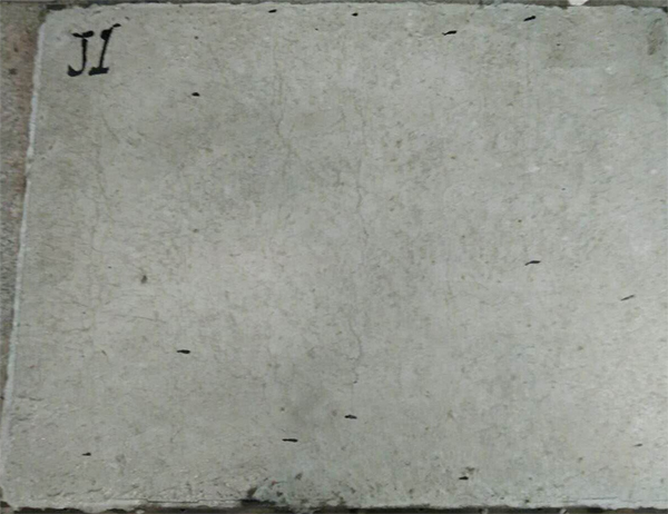 Reference Specimen