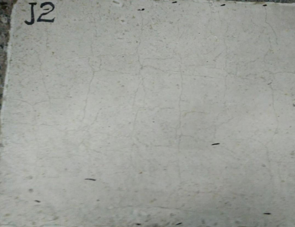 Reference Specimen