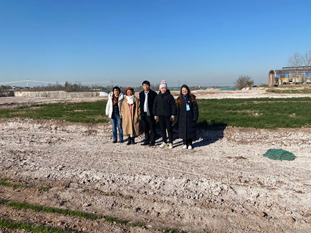 Zhengsai's Saline-alkali land treatment technology
