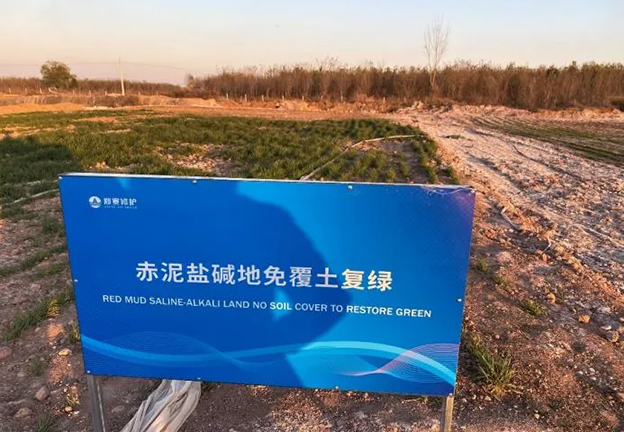 Zhengsai's Saline-alkali land treatment technology