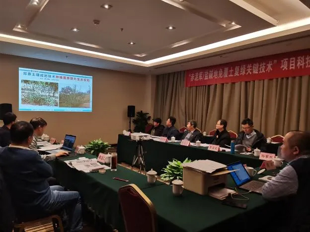 Zhengsai's Saline-alkali land treatment technology