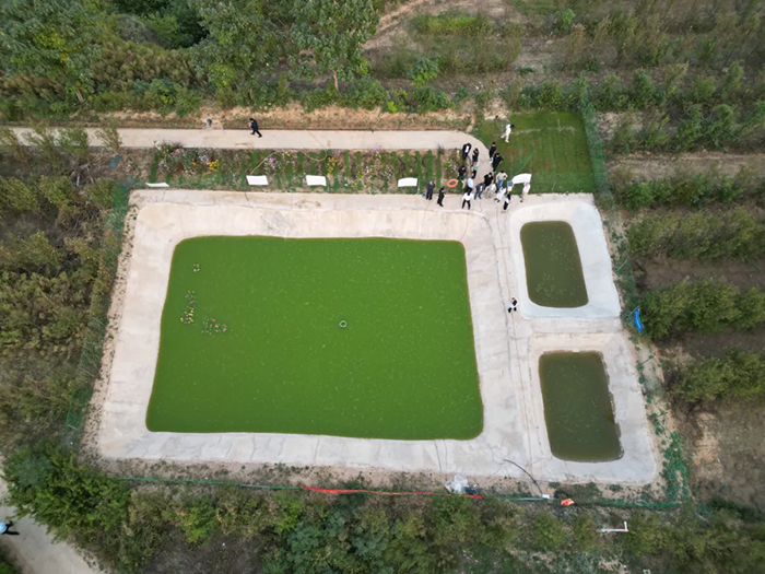 The International Conference of Zhengsai Geospatial Ecological Repair Technology Standard was held