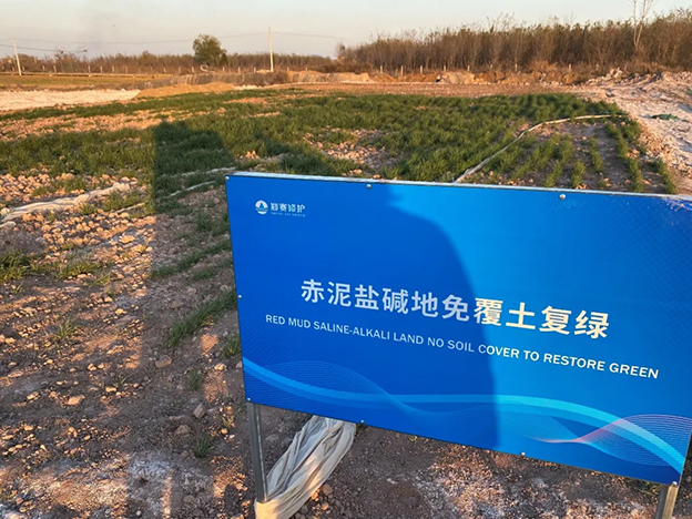 Zhengsai's Saline-alkali land treatment technology