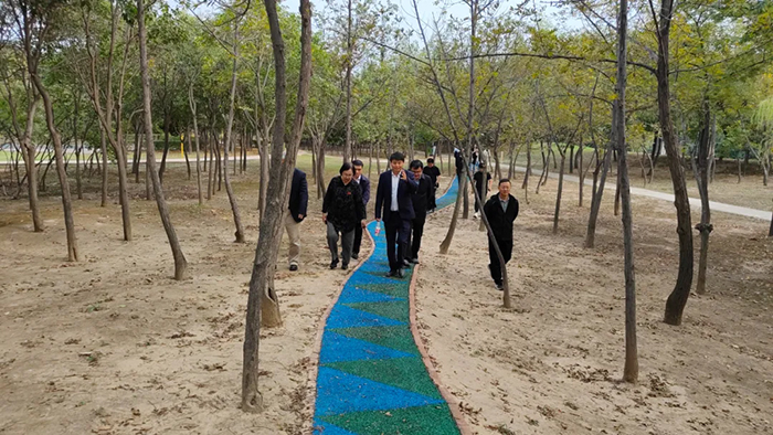The International Conference of Zhengsai Geospatial Ecological Repair Technology Standard was held