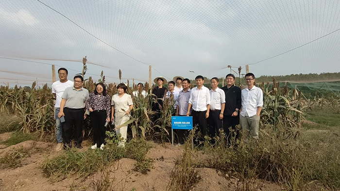 Leading Experts from Henan Modern Agriculture Research Association and high-standard Farmland Construction Committee visited Zhengsai Shield for inspection