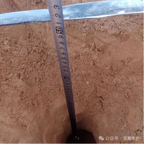 Desert Water Saving Technology Test is Successful, 70% Water Saving than Traditional Drip Irrigation! Once and for all, A Hundred Years of Protection