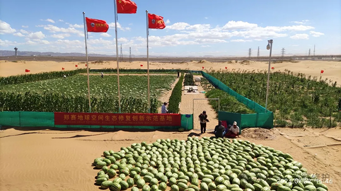 Desert Water Saving Technology Test is Successful, 70% Water Saving than Traditional Drip Irrigation! Once and for all, A Hundred Years of Protection