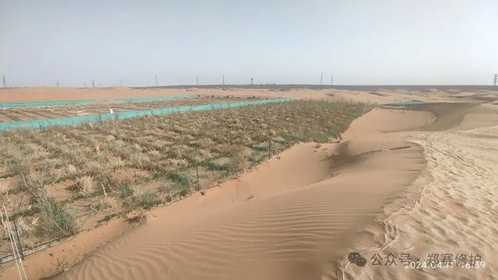 Desert Water Saving Technology Test is Successful, 70% Water Saving than Traditional Drip Irrigation! Once and for all, A Hundred Years of Protection
