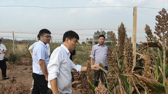 Leading Experts from Henan Modern Agriculture Research Association and high-standard Farmland Construction Committee visited Zhengsai Shield for inspection