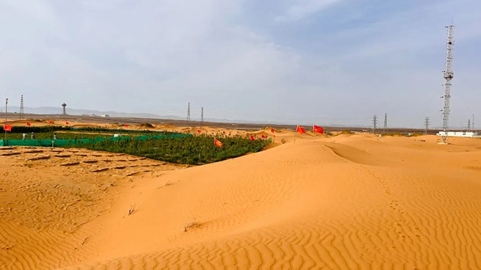Desert Water Saving Technology Test is Successful, 70% Water Saving than Traditional Drip Irrigation! Once and for all, A Hundred Years of Protection