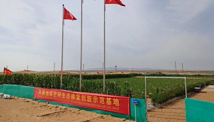 Desert Water Saving Technology Test is Successful, 70% Water Saving than Traditional Drip Irrigation! Once and for all, A Hundred Years of Protection