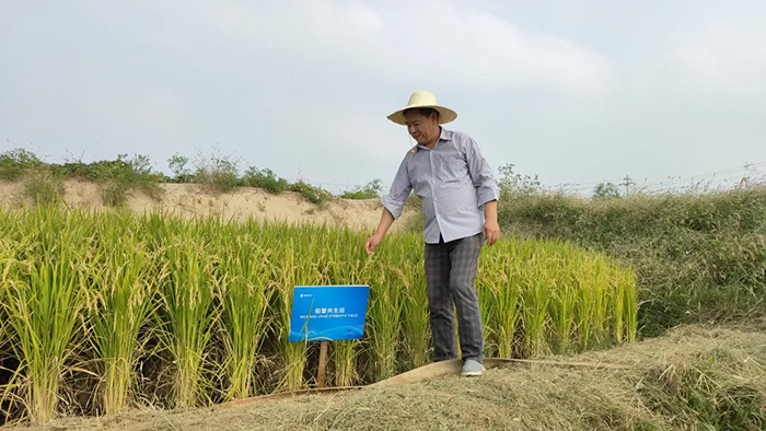 Leading Experts from Henan Modern Agriculture Research Association and high-standard Farmland Construction Committee visited Zhengsai Shield for inspection