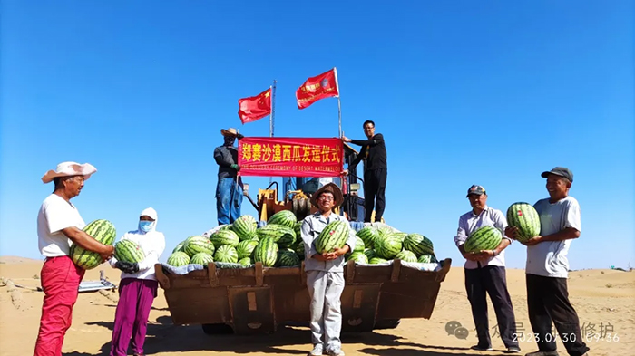 Desert Water Saving Technology Test is Successful, 70% Water Saving than Traditional Drip Irrigation! Once and for all, A Hundred Years of Protection