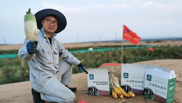 Desert Water Saving Technology Test is Successful, 70% Water Saving than Traditional Drip Irrigation! Once and for all, A Hundred Years of Protection
