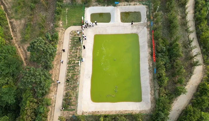 Leading Experts from Henan Modern Agriculture Research Association and high-standard Farmland Construction Committee visited Zhengsai Shield for inspection