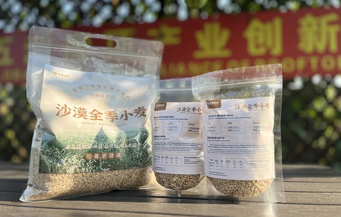 Zhengsai Desert Whole Season Wheat Introduction