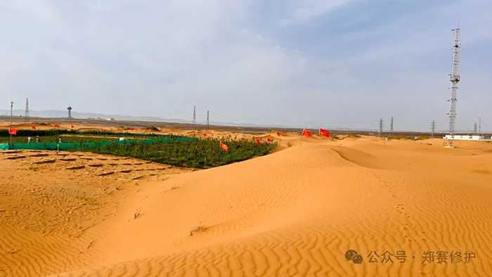 Desert Water Saving Technology Test is Successful, 70% Water Saving than Traditional Drip Irrigation! Once and for all, A Hundred Years of Protection