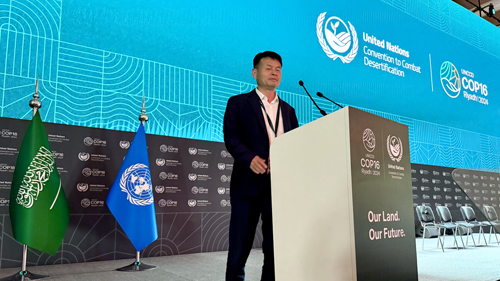 Zhengsai Desert Tree Planting Technology - Participate in the United Nations Convention to Combat Desertification Conference