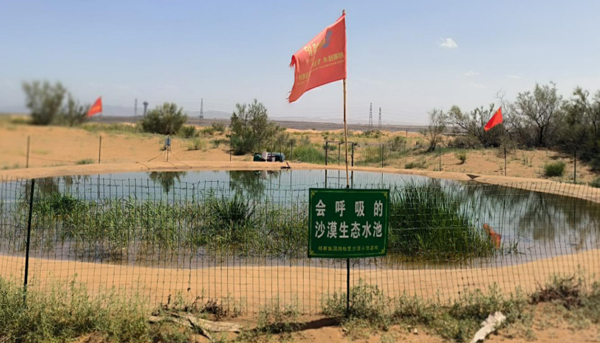 Pond constructed using soil lithification technology