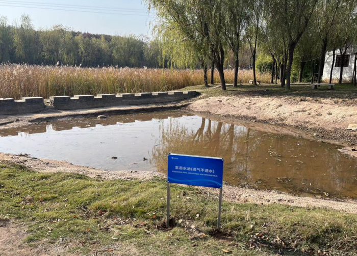 Water Engineering