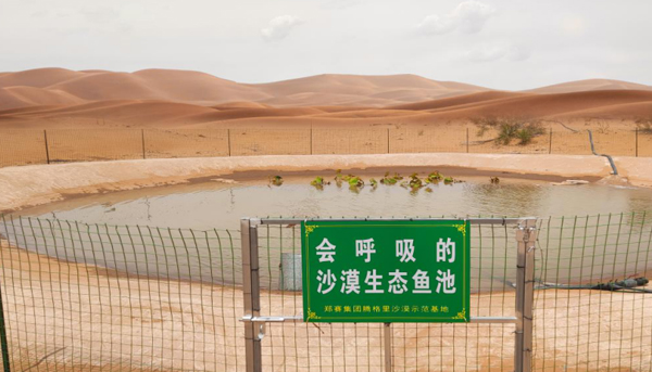 Pond constructed using soil lithification technology