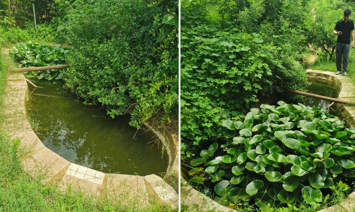 Water Engineering