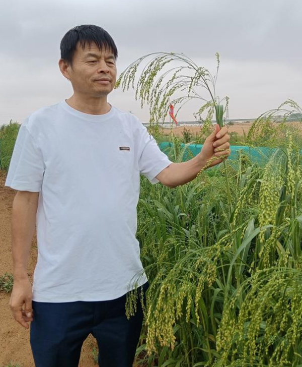 Desertification Control Solutions