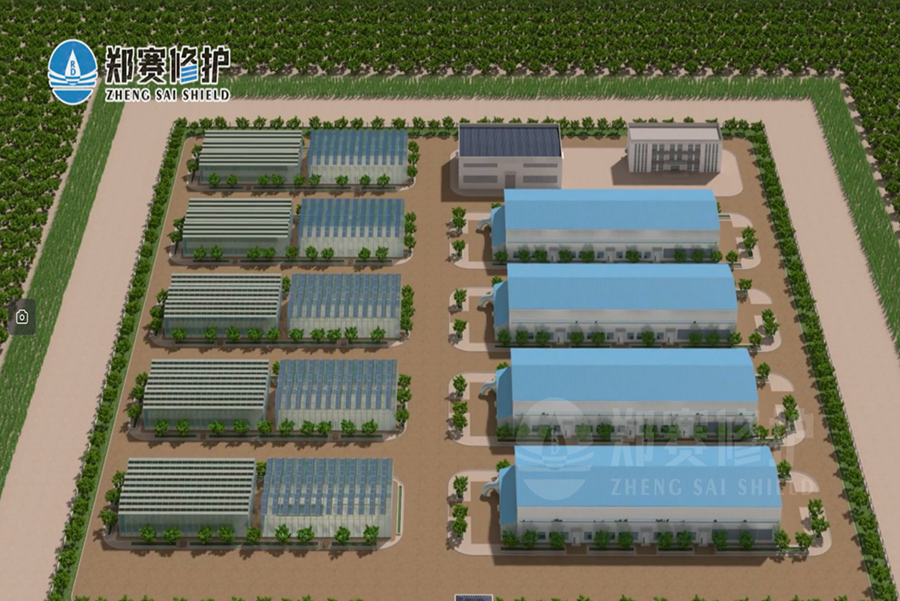 Desertification Control Solutions