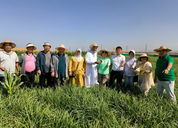 Desertification Control Solutions