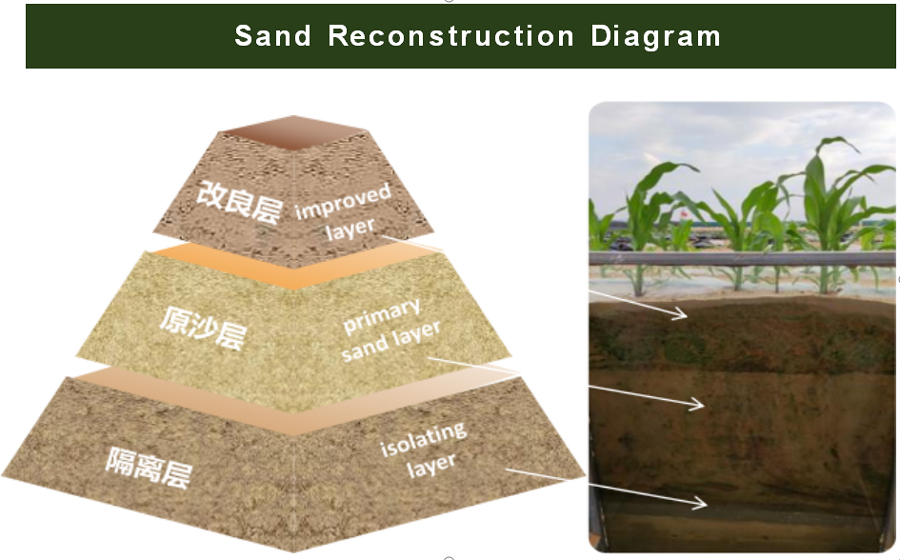 Desertification Control Solutions 