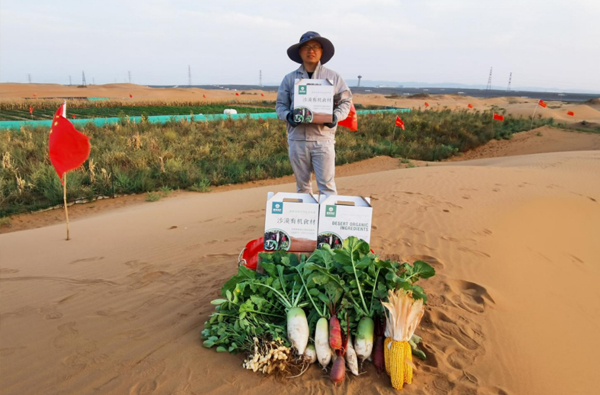 Desertification Control Solutions 