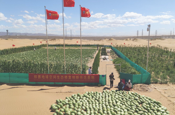 Desertification Control Solutions 