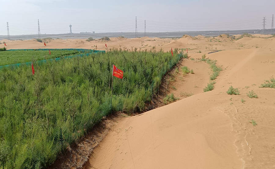 Desertification Control Solutions