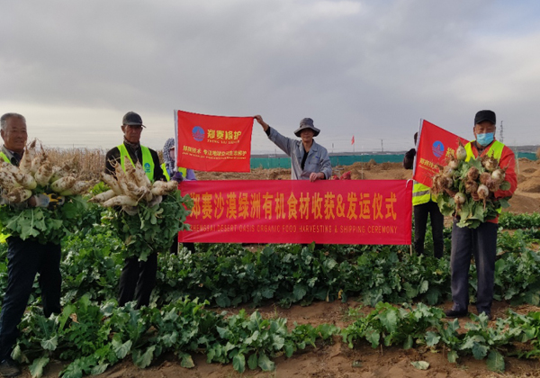 Desertification Control Solutions