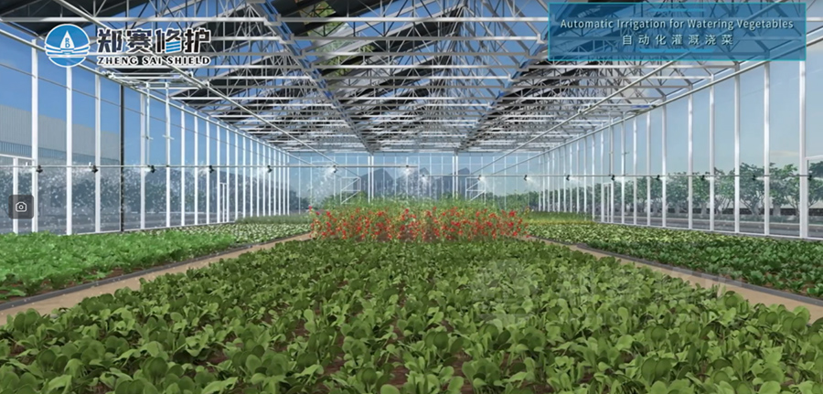 Desertification Control Solutions