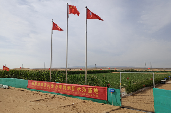 Desertification Control Solutions 