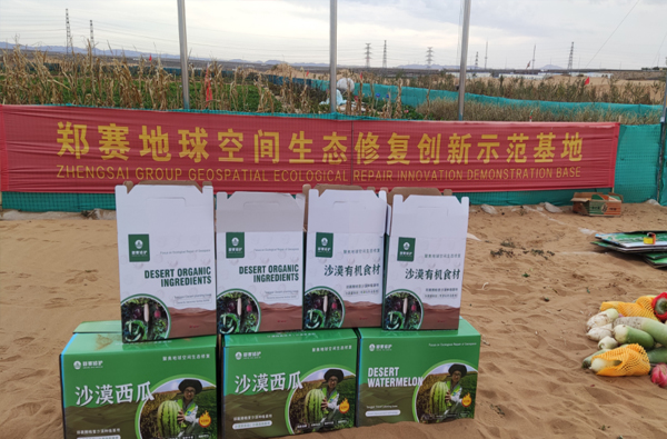 Desertification Control Solutions 