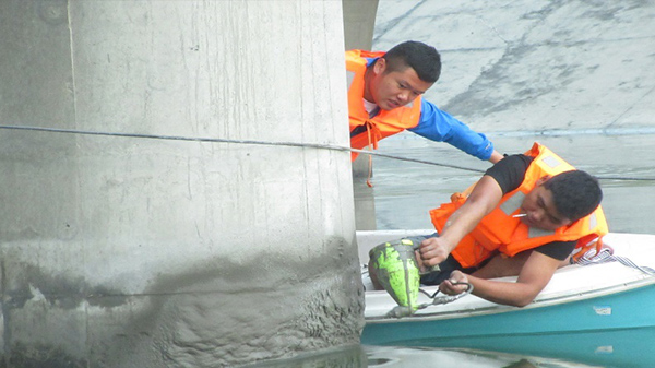 Mold prevention treatment for concrete