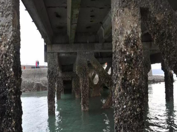 Treatment of Concrete Corrosion by Seawater