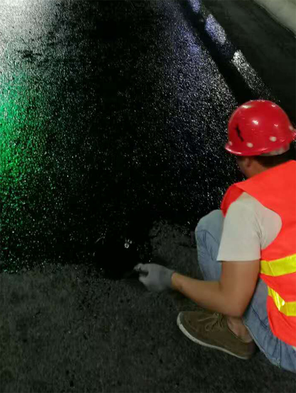 Treatment of Bridge Leakage