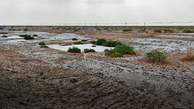 Salt Desert Control