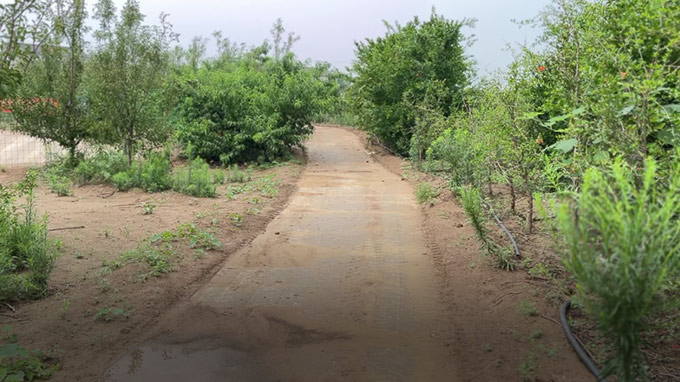 Road Construction