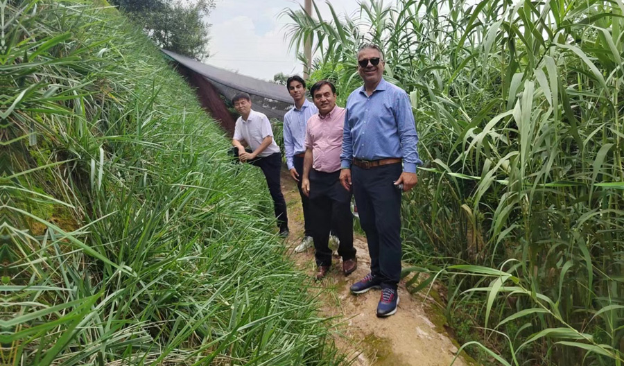 American clients visited